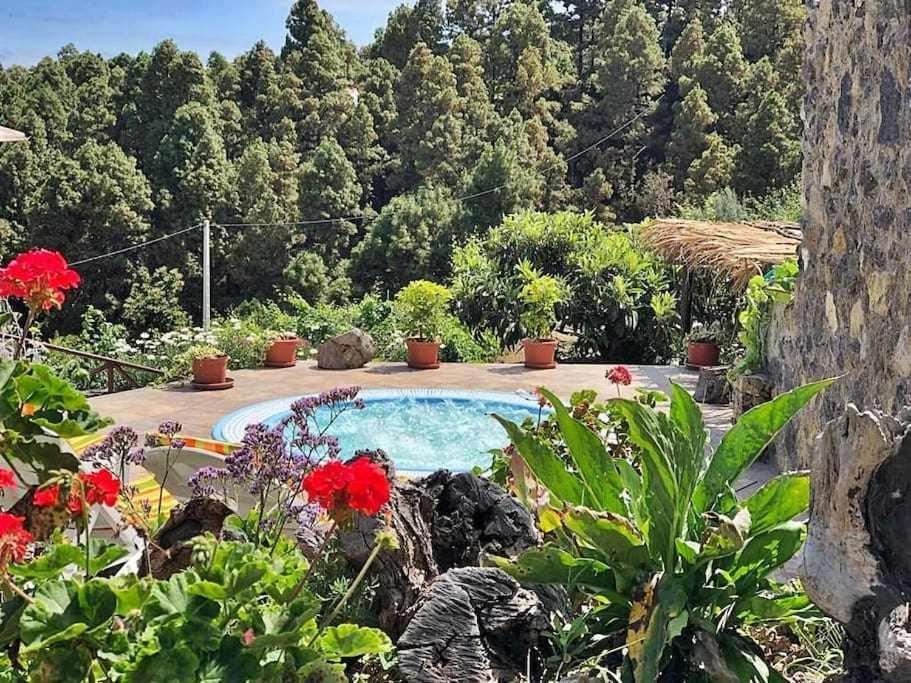 Finca Los Tamarillos Santa Cruz de Tenerife Exterior photo